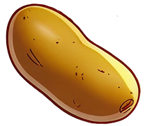 Potato