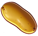 Potato
